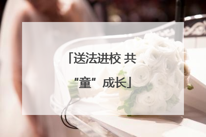送法进校 共“童”成长