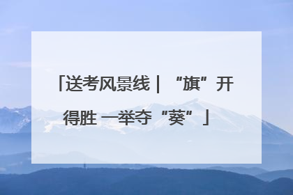送考风景线｜“旗”开得胜 一举夺“葵”