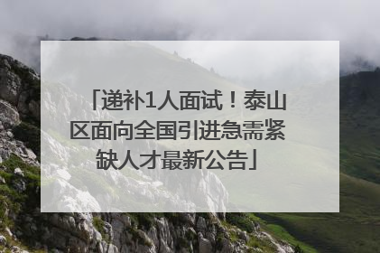 递补1人面试！泰山区面向全国引进急需紧缺人才最新公告