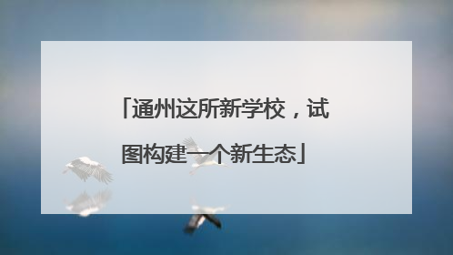 通州这所新学校，试图构建一个新生态