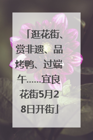 逛花街、赏非遗、品烤鸭、过端午……宜良花街5月28日开街