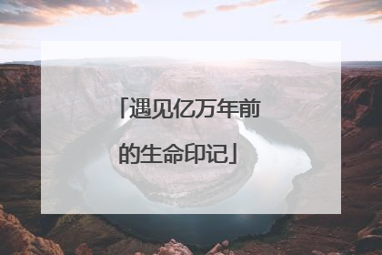 遇见亿万年前的生命印记