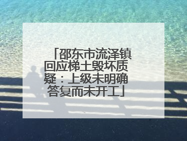 邵东市流泽镇回应梯土毁坏质疑：上级未明确答复而未开工