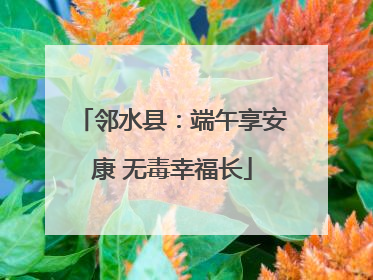 邻水县：端午享安康 无毒幸福长