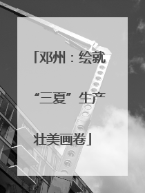 邓州：绘就“三夏”生产壮美画卷