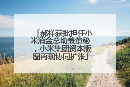 郝祥获批担任小米消金总助兼董秘，小米集团资本版图再现协同扩张