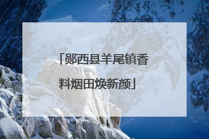 郧西县羊尾镇香料烟田焕新颜