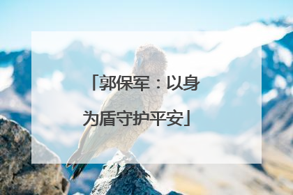 郭保军：以身为盾守护平安