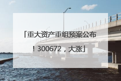 重大资产重组预案公布！300672，大涨