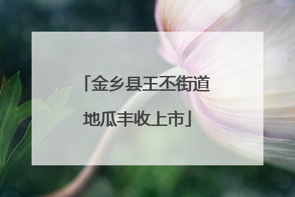 金乡县王丕街道地瓜丰收上市