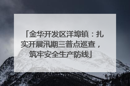 金华开发区洋埠镇：扎实开展汛期三普点巡查，筑牢安全生产防线