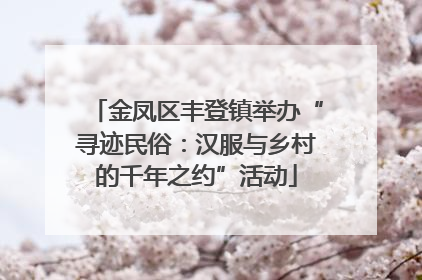 金凤区丰登镇举办“寻迹民俗：汉服与乡村的千年之约”活动