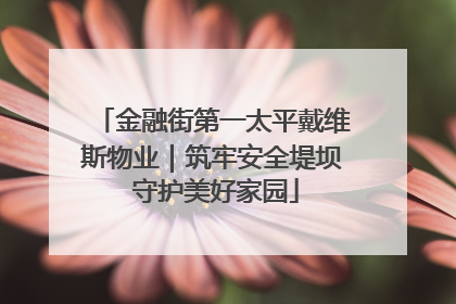 金融街第一太平戴维斯物业｜筑牢安全堤坝 守护美好家园