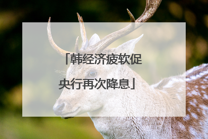 韩经济疲软促央行再次降息