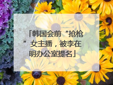 韩国会前“抢枪”女主播，被李在明办公室提名