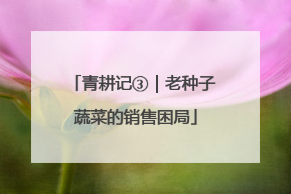 青耕记③｜老种子蔬菜的销售困局