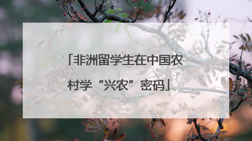 非洲留学生在中国农村学“兴农”密码