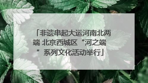 非遗串起大运河南北两端 北京西城区“河之端”系列文化活动举行