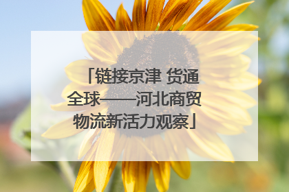 链接京津 货通全球——河北商贸物流新活力观察