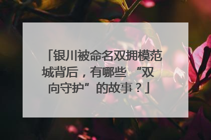 银川被命名双拥模范城背后，有哪些 “双向守护”的故事？