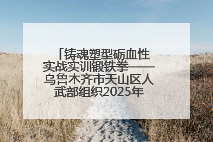 铸魂塑型砺血性 实战实训锻铁拳——乌鲁木齐市天山区人武部组织2025年度民兵集中轮训