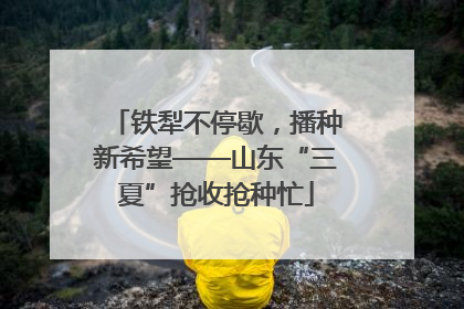 铁犁不停歇，播种新希望——山东“三夏”抢收抢种忙
