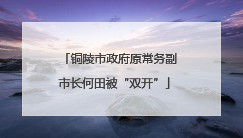 铜陵市政府原常务副市长何田被“双开”