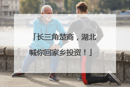 长三角楚商，湖北喊你回家乡投资！