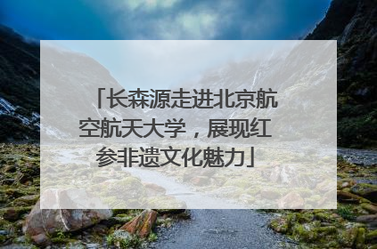 长森源走进北京航空航天大学，展现红参非遗文化魅力