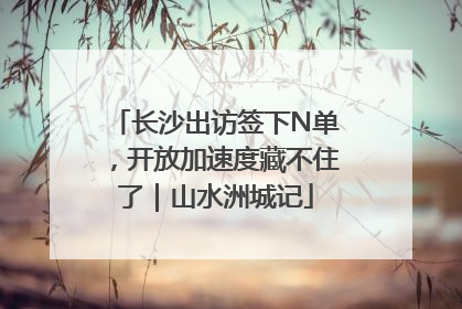 长沙出访签下N单，开放加速度藏不住了｜山水洲城记