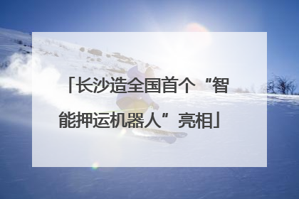 长沙造全国首个“智能押运机器人”亮相