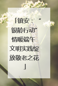 镇安：“银龄行动”情暖端午 文明实践绽放敬老之花