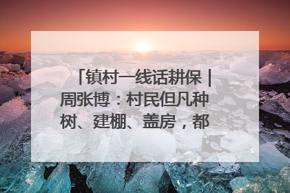 镇村一线话耕保｜周张博：村民但凡种树、建棚、盖房，都要向街道报批