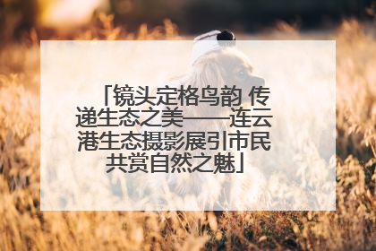 镜头定格鸟韵 传递生态之美——连云港生态摄影展引市民共赏自然之魅