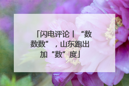 闪电评论丨“数数数”，山东跑出加“数”度