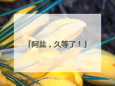 阿盐，久等了！