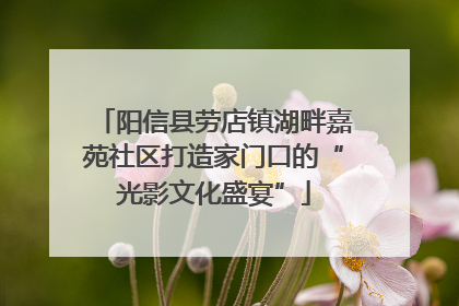 阳信县劳店镇湖畔嘉苑社区打造家门口的“光影文化盛宴”