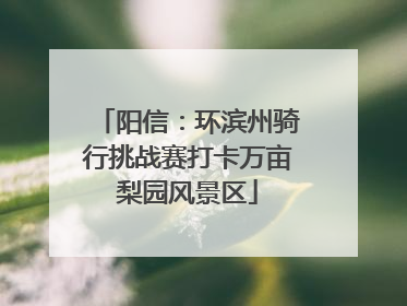 阳信：环滨州骑行挑战赛打卡万亩梨园风景区