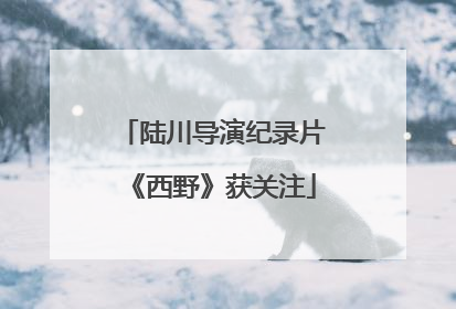 陆川导演纪录片《西野》获关注