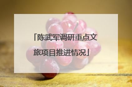陈武军调研重点文旅项目推进情况