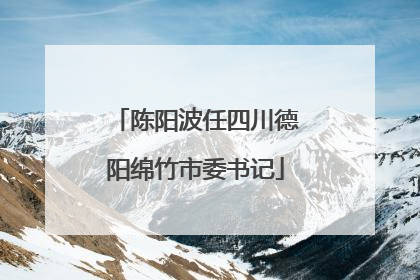 陈阳波任四川德阳绵竹市委书记