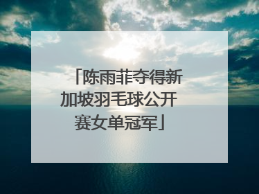 陈雨菲夺得新加坡羽毛球公开赛女单冠军