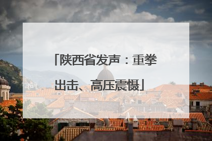 陕西省发声：重拳出击、高压震慑
