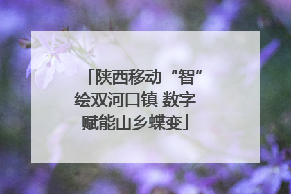 陕西移动“智”绘双河口镇 数字赋能山乡蝶变