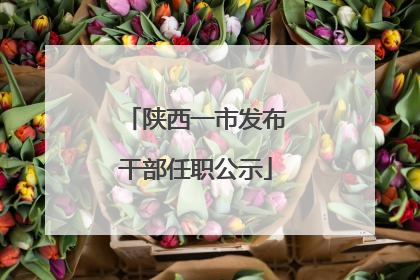 陕西一市发布干部任职公示