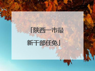 陕西一市最新干部任免