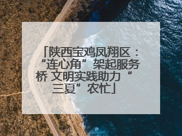 陕西宝鸡凤翔区：“连心角”架起服务桥 文明实践助力“三夏”农忙