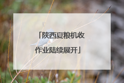陕西夏粮机收作业陆续展开