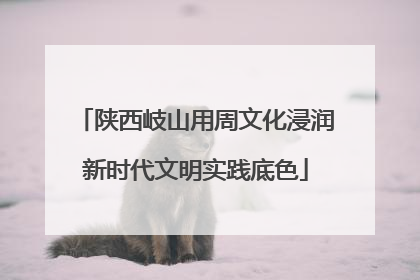 陕西岐山用周文化浸润新时代文明实践底色
