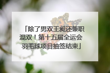 除了男双王昶还兼职混双！第十五届全运会羽毛球项目抽签结束